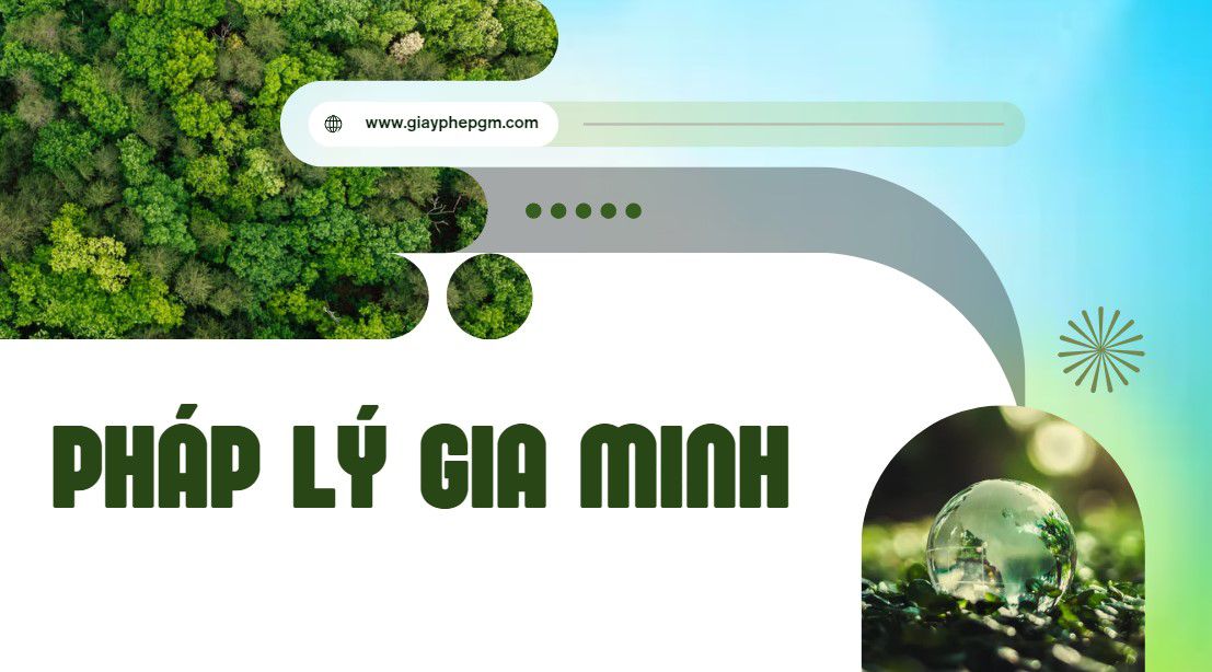 Thành lập công ty chuyển phát nhanh: Thủ tục, chi phí, kinh nghiệm kinh doanh từ A-Z 12 Giấy tờ cần thiết thành lập công ty chuyển phát nhanh