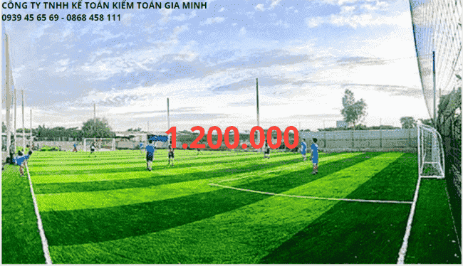 Thành lập hộ kinh doanh sân bóng mini 5 Chi phí thành lập hộ kinh doanh sân bóng mini