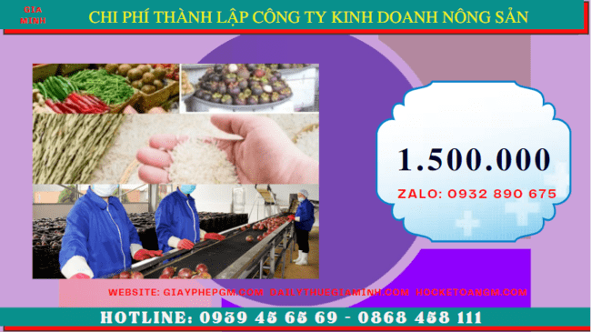 Thành lập công ty kinh doanh nông sản tại thành phố châu đốc 13 Chi phí thành lập doanh nghiệp kinh doanh nông sản tại Thành phố Châu Đốc