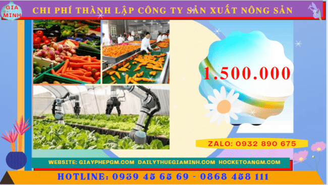 Chi phí thành lập công ty sản xuất nông sản tại An Giang