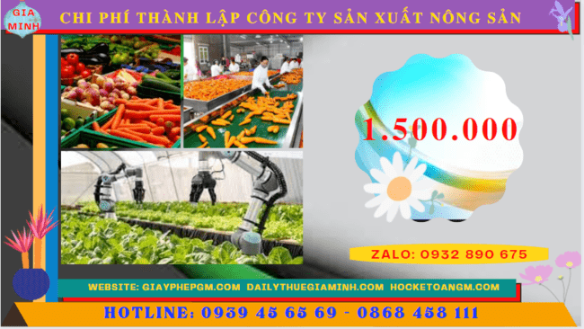 Chi phí thành lập công ty sản xuất nông sản tại Bà Rịa Vũng Tàu