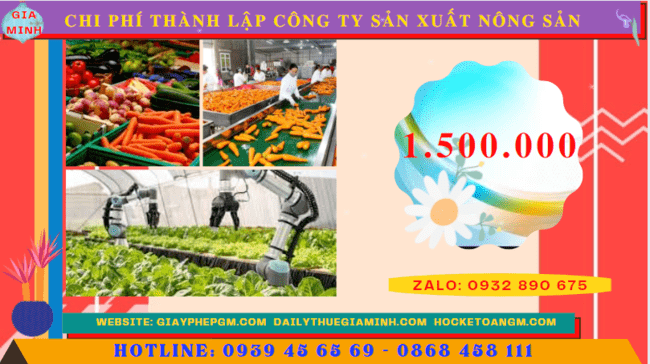 Chi phí thành lập công ty sản xuất nông sản tại Bến Tre
