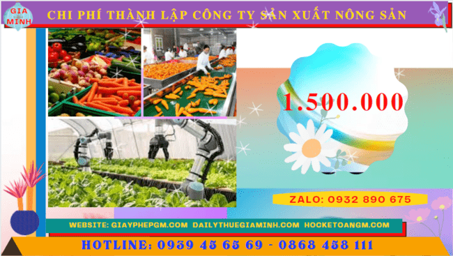 Chi phí thành lập công ty sản xuất nông sản tại Bình Thuận