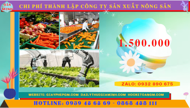 Chi phí thành lập công ty sản xuất nông sản tại Đắk Lắk