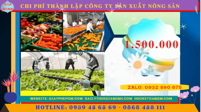 Chi phí thành lập công ty sản xuất nông sản tại Đồng Nai
