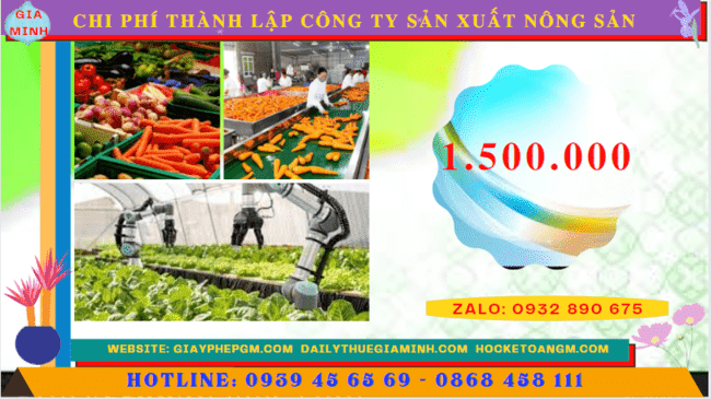 Chi phí thành lập công ty sản xuất nông sản tại Đồng Tháp