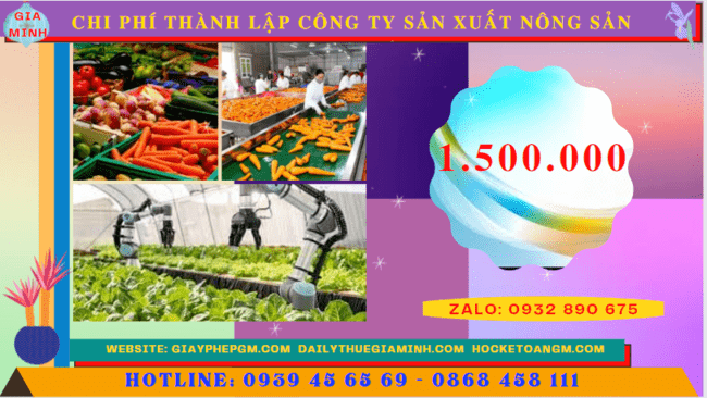Chi phí thành lập công ty sản xuất nông sản tại Gia Lai
