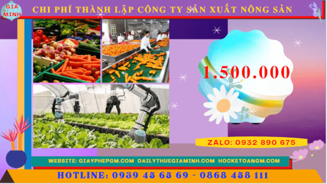 Chi phí thành lập công ty sản xuất nông sản tại Hải Dương