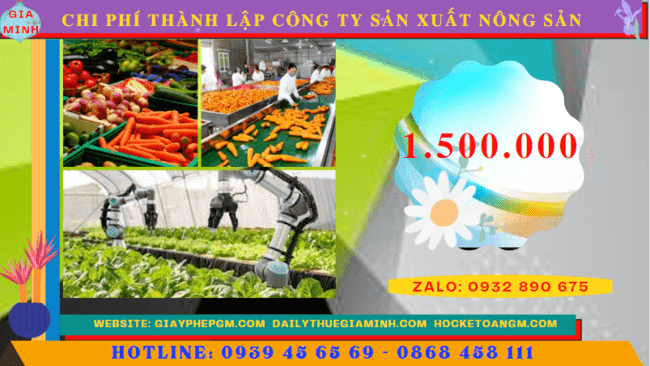 Chi phí thành lập công ty sản xuất nông sản tại Hải Phòng