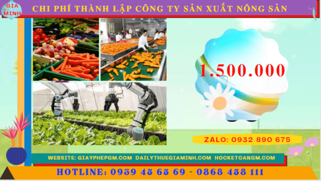 Chi phí thành lập công ty sản xuất nông sản tại Hòa Bình