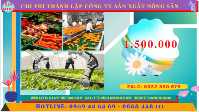 Chi phí thành lập công ty sản xuất nông sản tại Huế