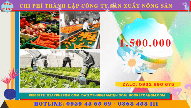 Chi phí thành lập công ty sản xuất nông sản tại Kiên Giang