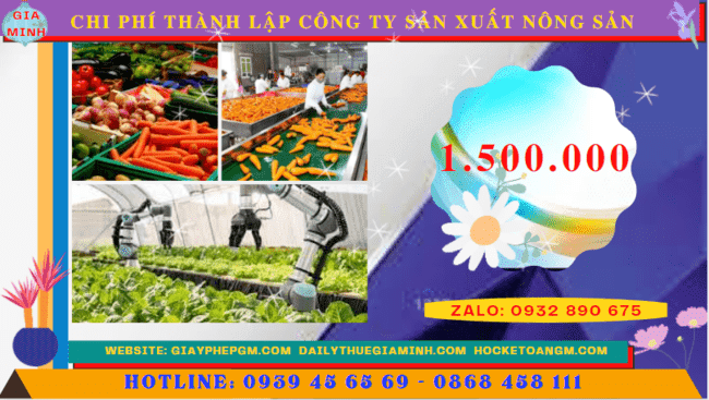Chi phí thành lập công ty sản xuất nông sản tại Kon Tum