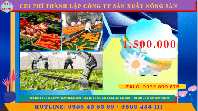 Chi phí thành lập công ty sản xuất nông sản tại Phú Yên