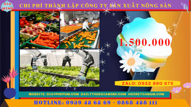 Chi phí thành lập công ty sản xuất nông sản tại Quảng Bình