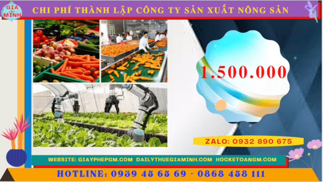 Thành lập công ty sản xuất nông sản tại quảng nam 5 Chi phí thành lập công ty sản xuất nông sản tại Quảng Nam