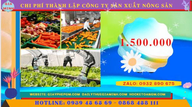 Chi phí thành lập công ty sản xuất nông sản tại Quảng Ngãi