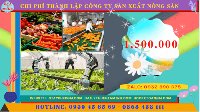 Chi phí thành lập công ty sản xuất nông sản tại Thành Phố Cần Thơ