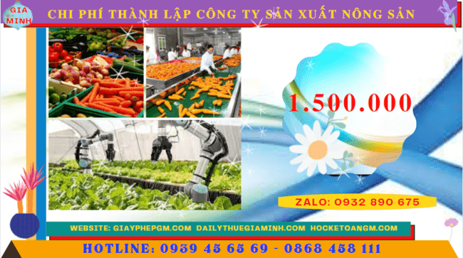 Chi phí thành lập công ty sản xuất nông sản tại Thành Phố Hồ Chí Minh