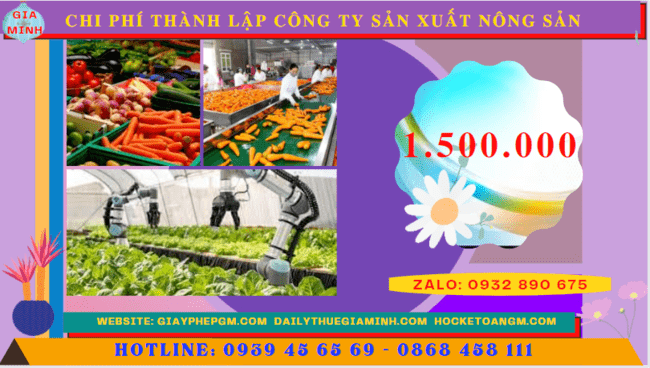 Chi phí thành lập công ty sản xuất nông sản tại Thành Phố Thủ Đức 