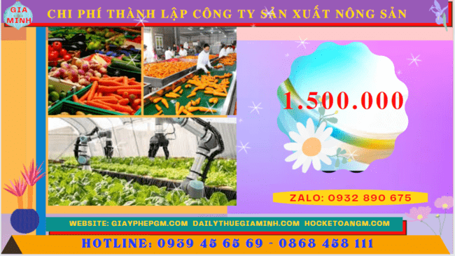 Chi phí thành lập công ty sản xuất nông sản tại Thừa Thiên Huế