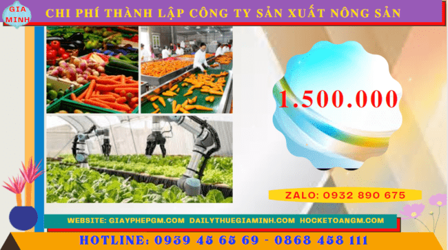 Chi phí thành lập công ty sản xuất nông sản tại Tiền Giang