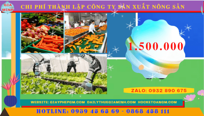 Chi phí thành lập công ty sản xuất nông sản tại TP Hải Phòng 