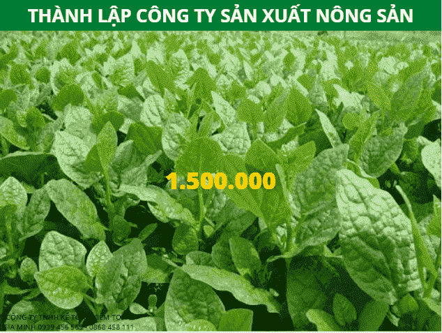 Chi phí thành lập công ty sản xuất nông sản tại TPHCM 
