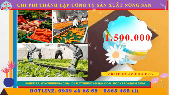 Chi phí thành lập công ty sản xuất nông sản tại Vũng Tàu