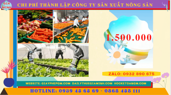 Chi phí thành lập công ty sản xuất nông sản tại Yên Bái