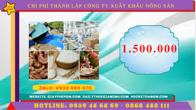 Chi phí thành lập công ty xuất khẩu nông sản tại Bình Định