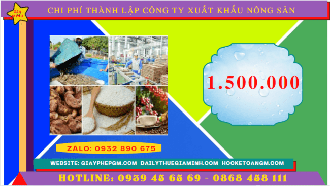 Chi phí thành lập công ty xuất khẩu nông sản tại Đồng Tháp