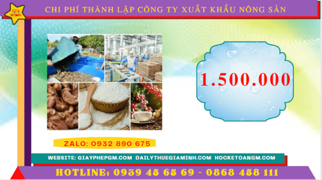 Chi phí thành lập công ty xuất khẩu nông sản tại Gia Lai