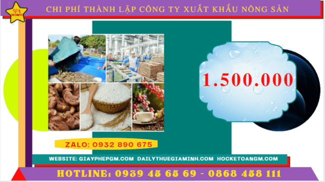 Chi phí thành lập công ty xuất khẩu nông sản tại Huế