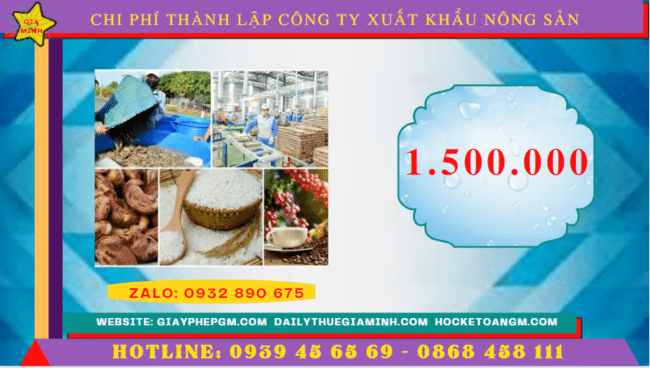 Chi phí thành lập công ty xuất khẩu nông sản tại Kon Tum