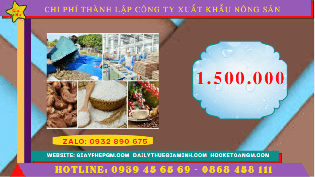 Chi phí thành lập công ty xuất khẩu nông sản tại Nghệ An