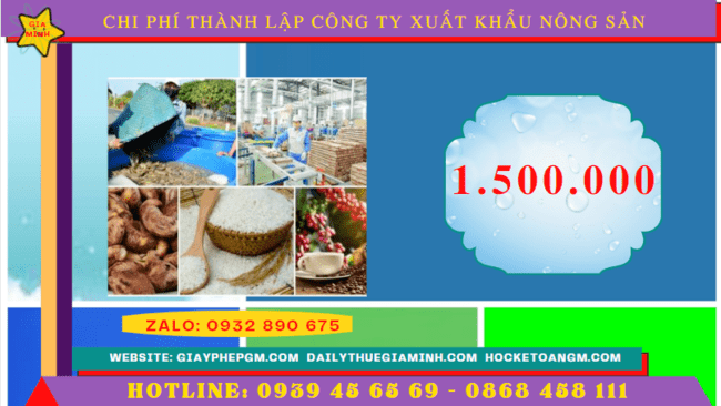 Chi phí thành lập công ty xuất khẩu nông sản tại Thừa Thiên Huế