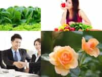 THÀNH LẬP CÔNG TY TRỌN GÓI CHẤT LƯỢNG UY TÍN NHẤT TẠI TPHCM 10 Dịch vụ thành lập công ty tại TPHCM trọn gói uy tín chỉ từ 250.000đ