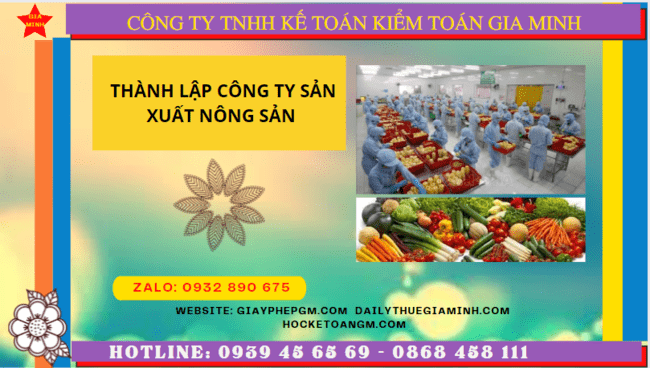 Hồ sơ thành lập công ty sản xuất nông sản tại Bình Thuận