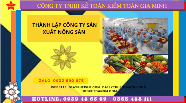 Hồ sơ thành lập công ty sản xuất nông sản tại Hải Dương
