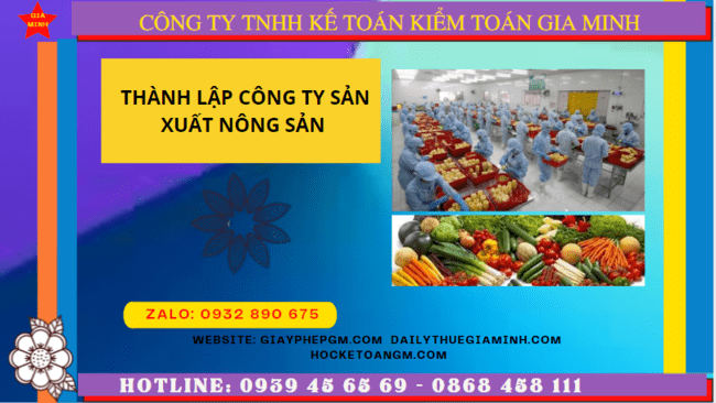 Hồ sơ thành lập công ty sản xuất nông sản tại Kiên Giang