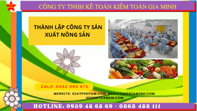 Hồ sơ thành lập công ty sản xuất nông sản tại Nghệ An