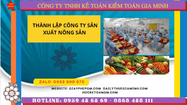 Hồ sơ thành lập công ty sản xuất nông sản tại Quảng Ngãi