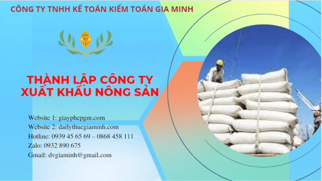 Hồ sơ thành lập công ty xuất khẩu nông sản tại Đồng Tháp