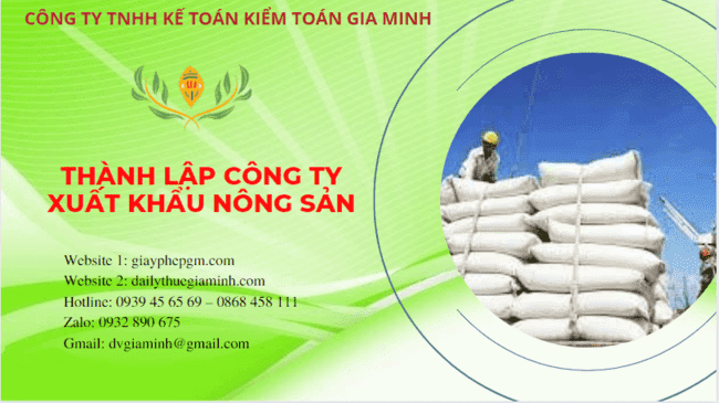 Hồ sơ thành lập công ty xuất khẩu nông sản tại TP Hồ Chí Minh
