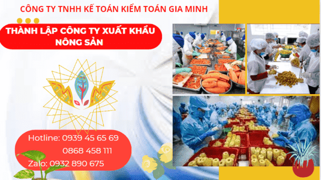 Hồ sơ thành lập công ty xuất khẩu nông sản tại TPHCM 