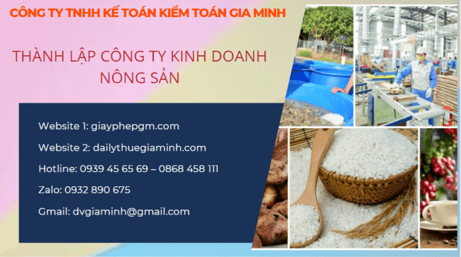 Thủ tục thành lập công ty kinh doanh nông sản tại Đồng Tháp