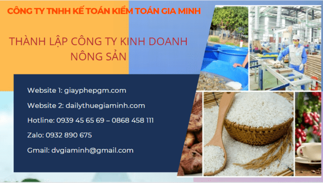 Thành lập công ty kinh doanh nông sản tại Hải Dương 4 Thủ tục thành lập công ty kinh doanh nông sản Hải Dương