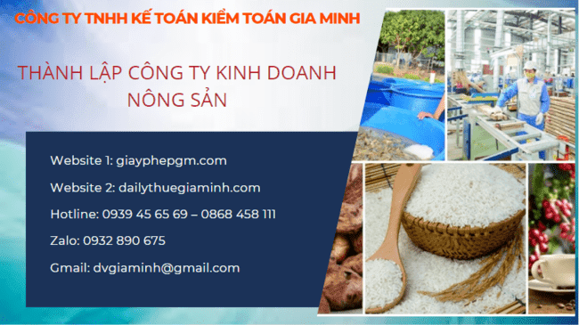 Thủ tục thành lập công ty kinh doanh nông sản tại Thành Phố Hải Phòng