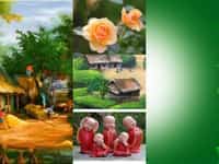 Dịch vụ thành lập doanh nghiệp trọn gói uy tín tại Cần Thơ